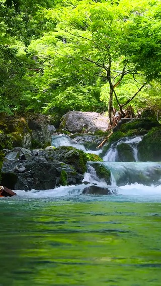 夏日护眼绿林流水