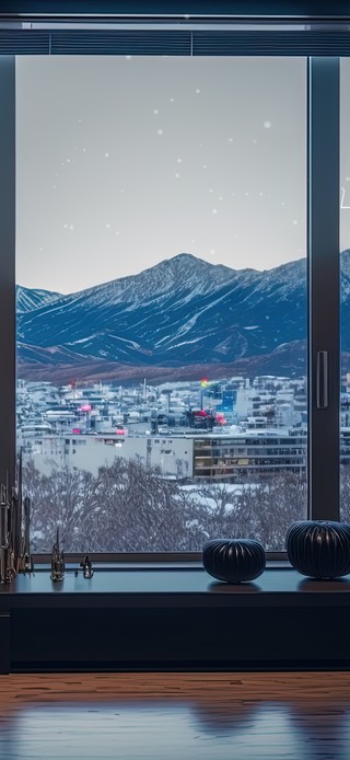 客厅窗外雪