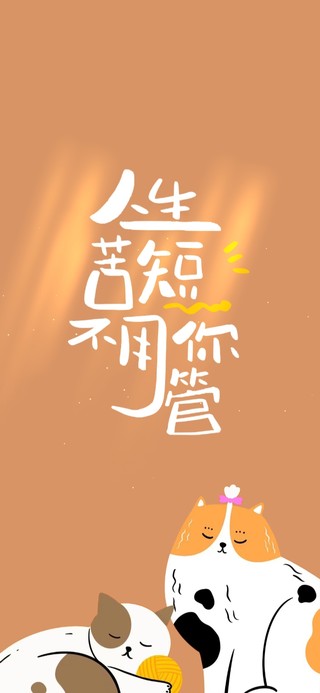 励志的猫猫