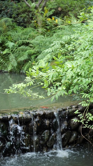 高清护眼山间流水l