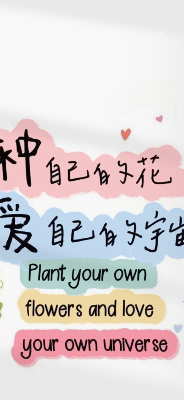 种自己的花 爱自己的宇宙