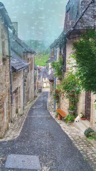 雨中街景