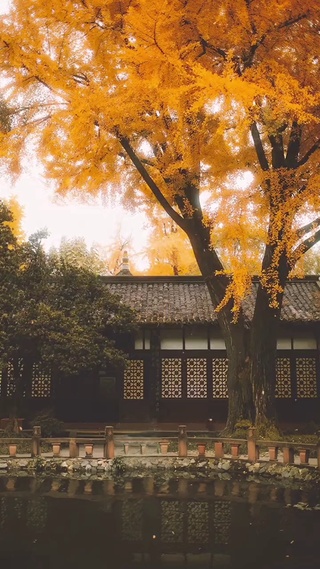 我发现我真的好喜欢秋天，因为那是我对你的思念