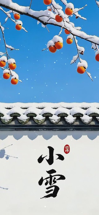 冬日小雪