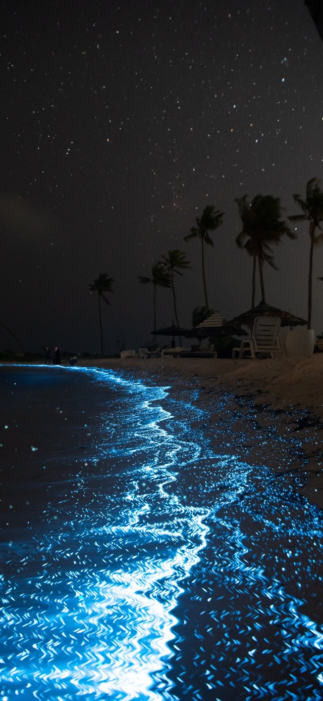 4K 宁静夜空下荧光沙滩