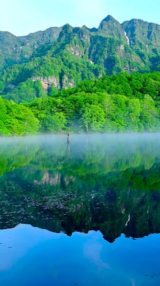 护眼夏日晨雾高山湖