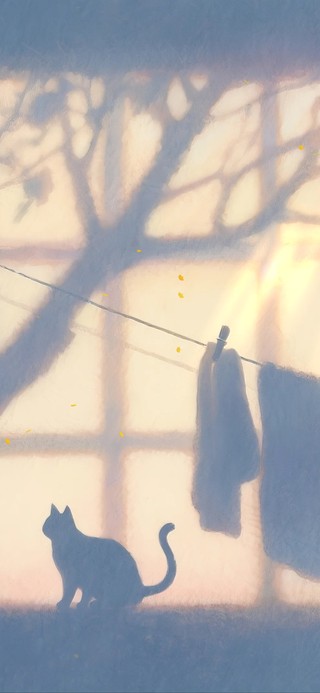 治愈光影