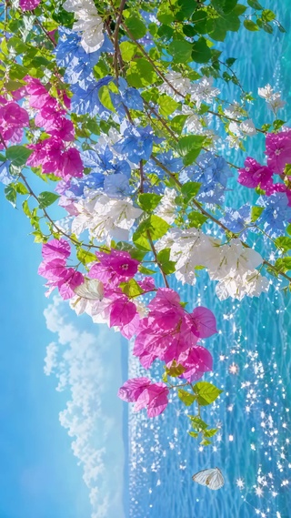 花与海