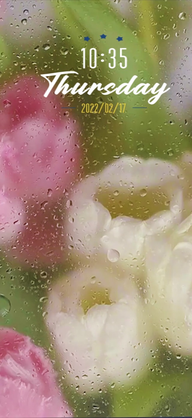 雨滴屏幕上的花朵