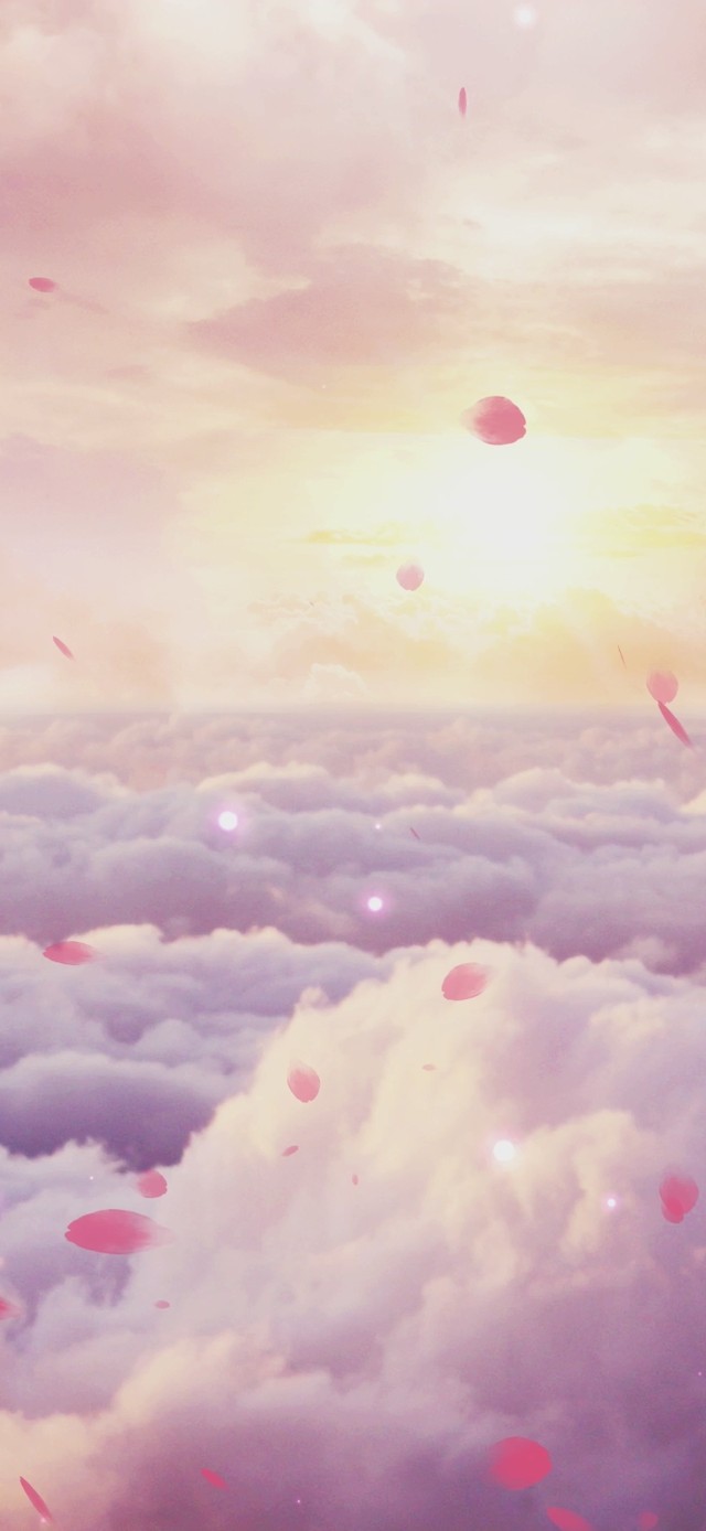 梦幻粉色云端花瓣飘动