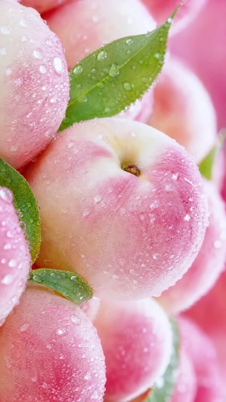 蜜桃物语