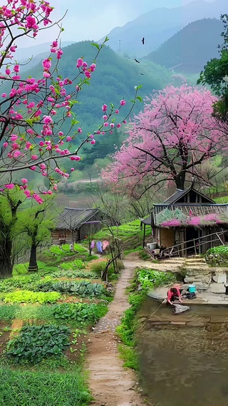 进山戏水，忙里偷闲