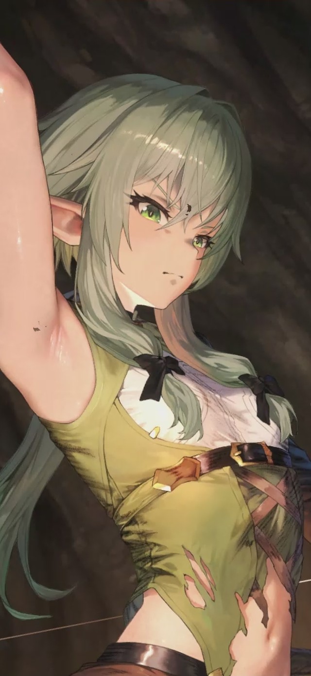 棕色塵埃2-妖精弓手 星風之女