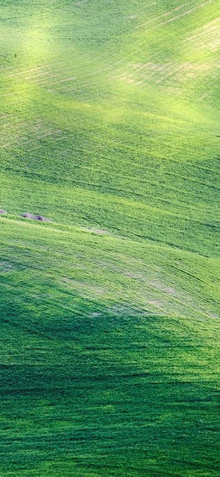 4K唯美治愈护眼绿景