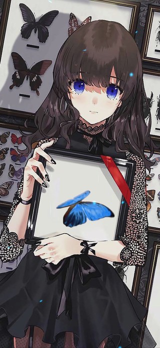 标本