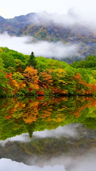 秋林高山云雾湖畔