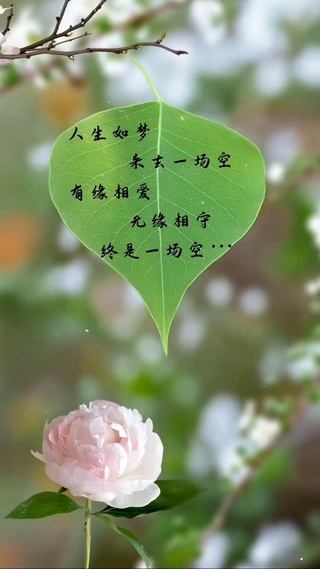 人生如梦 来去一场空