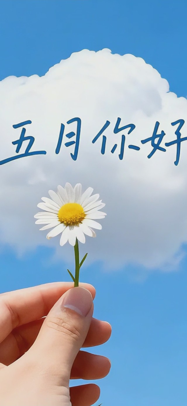 五月你好