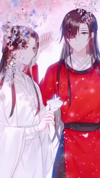 花城&谢怜