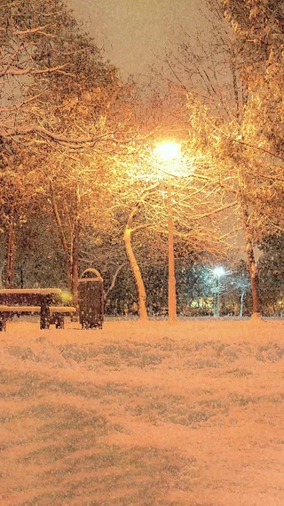 唯美公园雪景