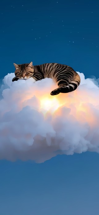 云朵上的猫咪