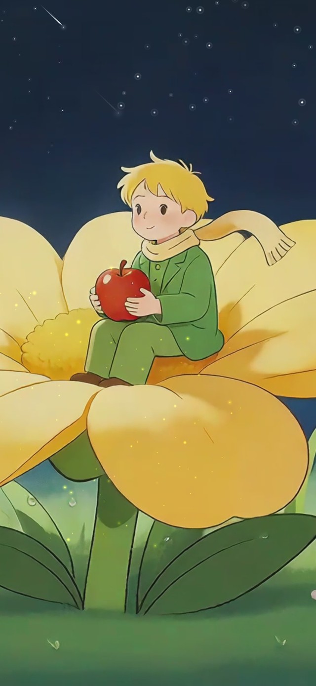 星夜空小王子