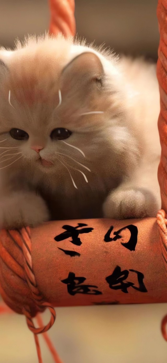 好运小猫