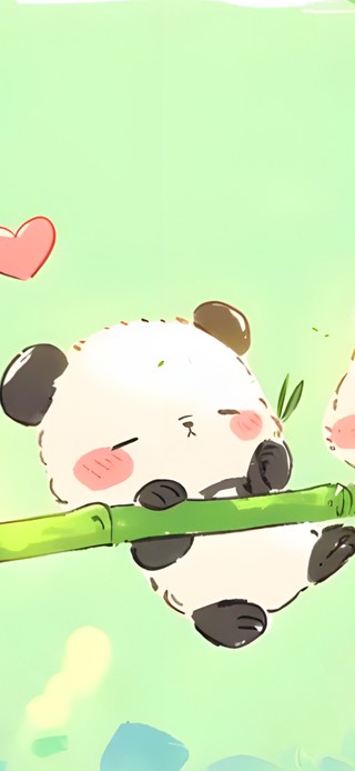 团团可爱熊猫