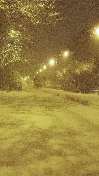 治愈路边雪景