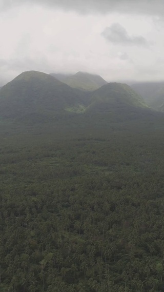 4K 高清 菲律宾棕榈热带风景