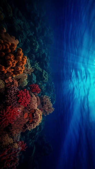 海洋世界