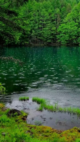 4K雨天青山绿水湖