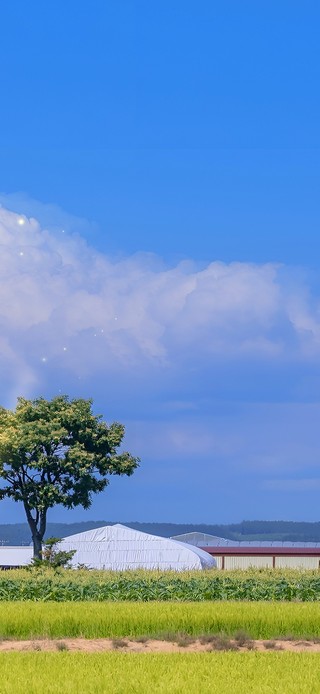 蓝天下小镇