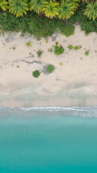 俯看椰树海滩