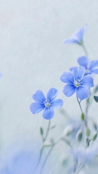护眼花草树木