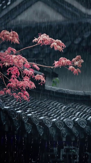 秋雨