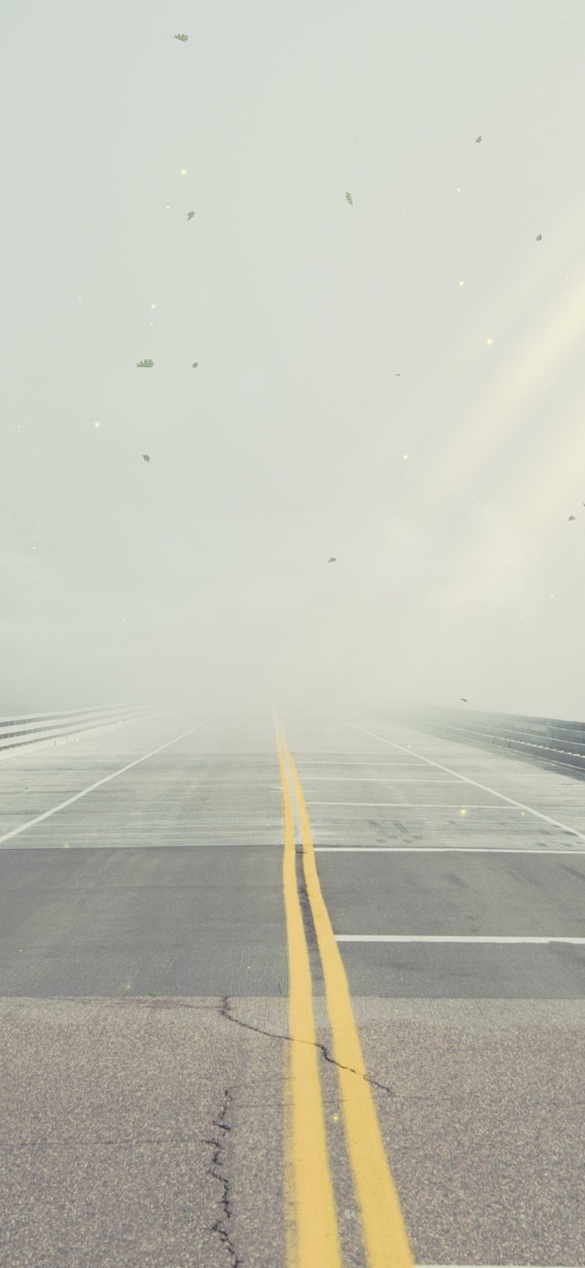 唯美迷雾乡村公路