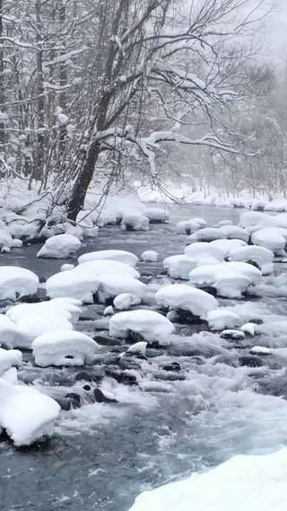 雪天树林流水