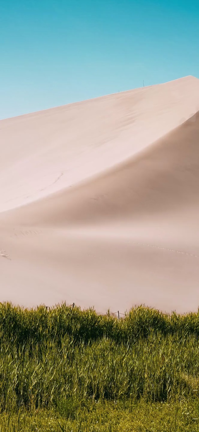 自然景观动态版