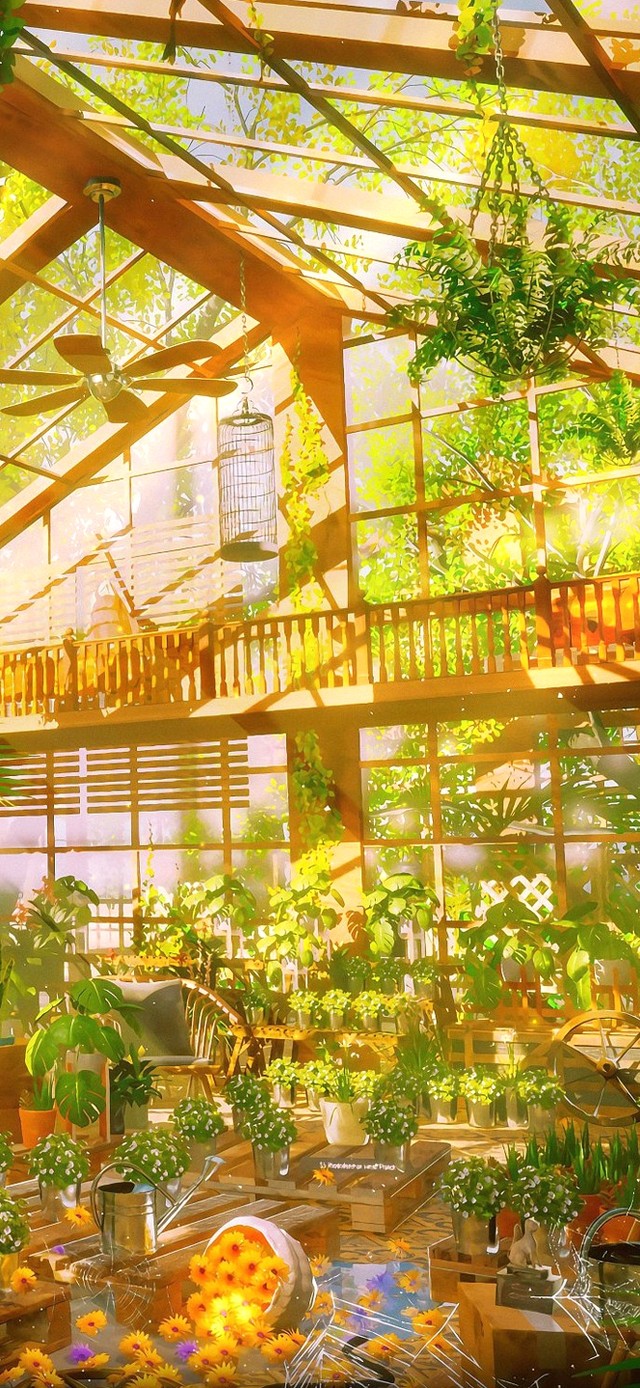 唯美治愈阳光小屋