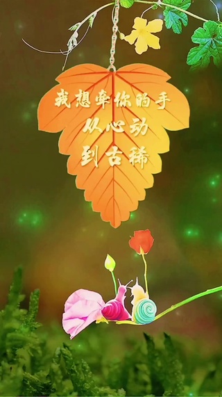 牵你的手从心动到古稀