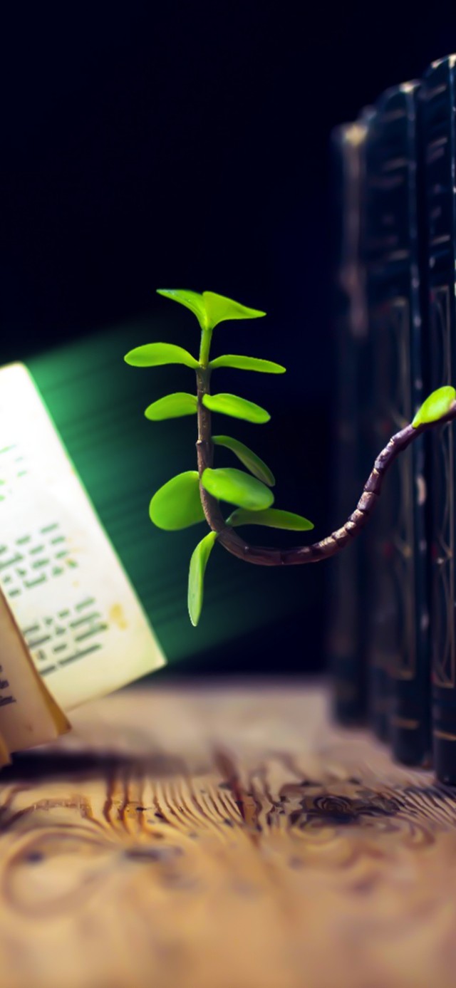 人非草木，谁能无情