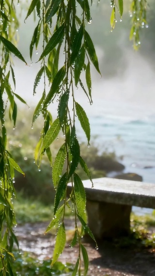 雨后河畔清新自然风景