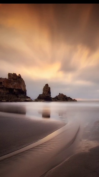 风景