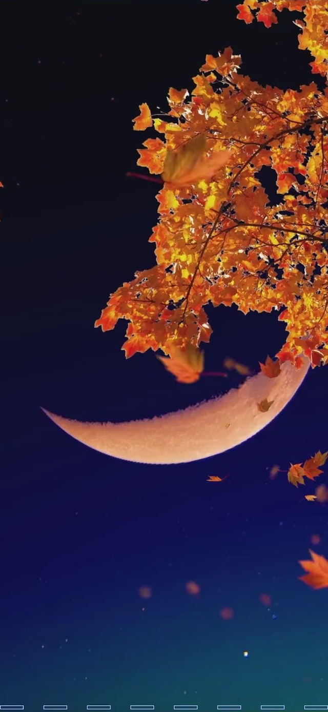 花好月圆但你不在