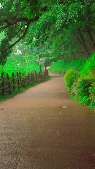 护眼雨天小路