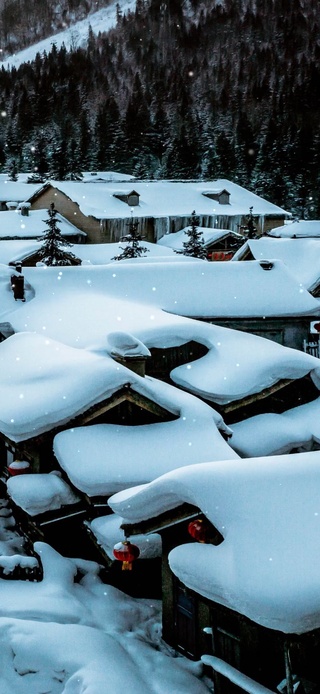 冰天雪地