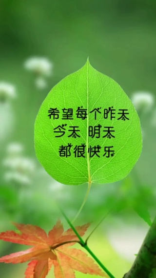 叶子