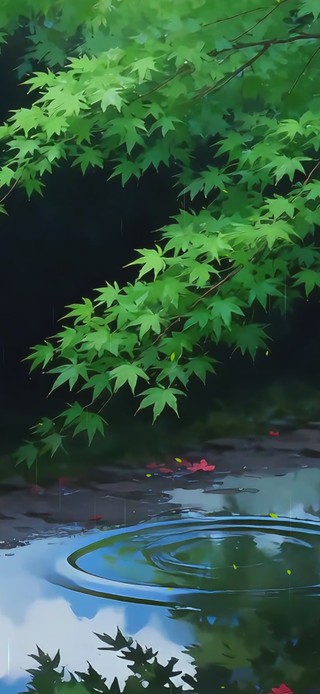 绿色护眼枫树
