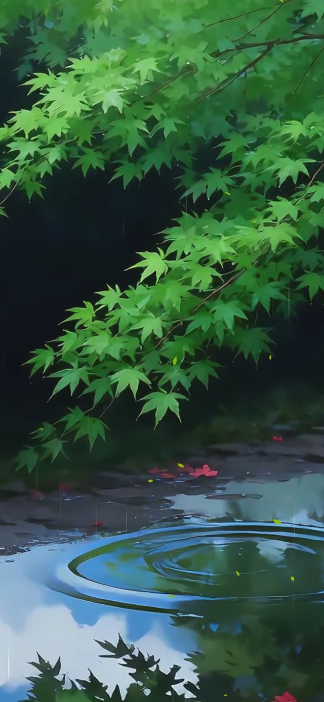 绿色护眼枫树